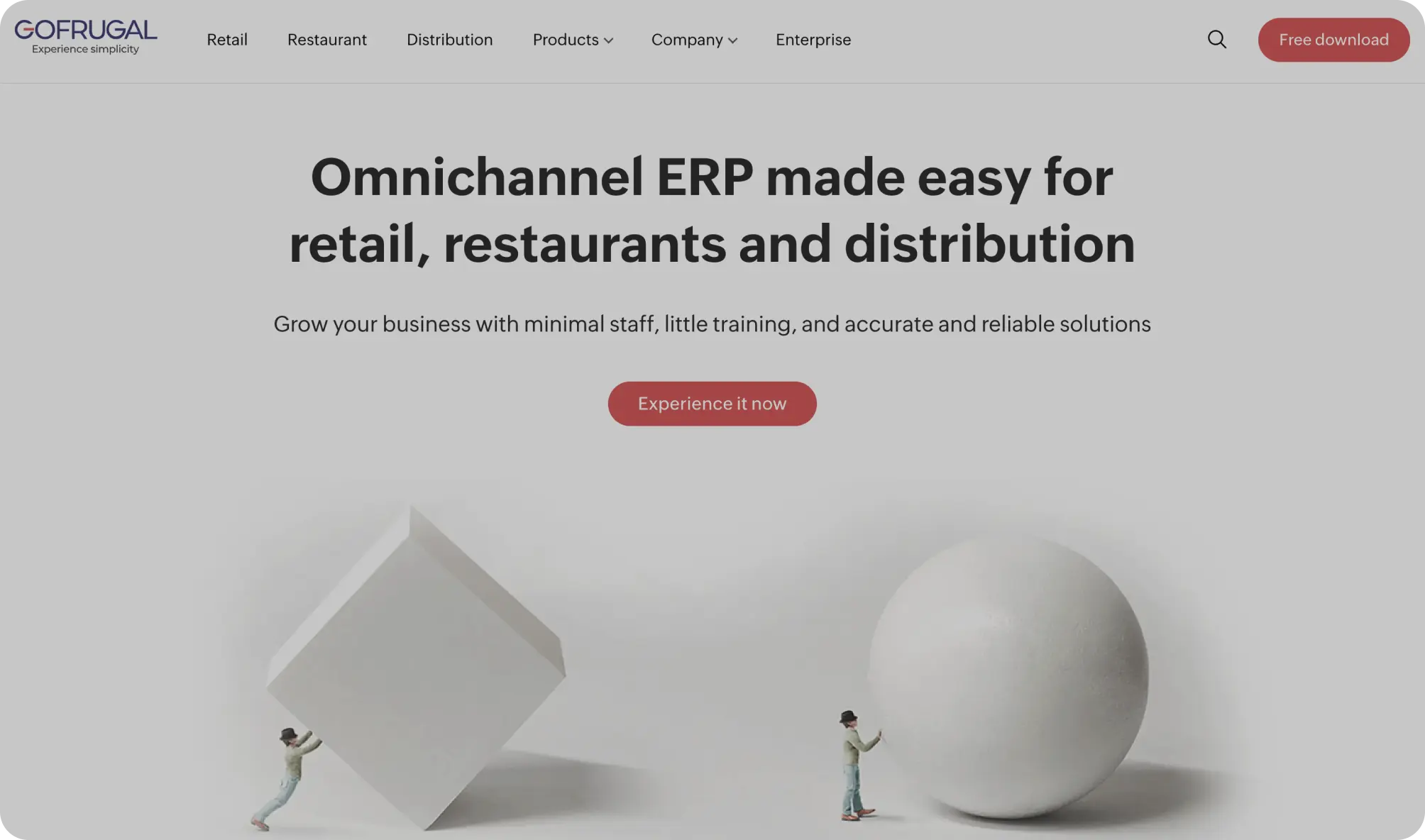 Gofrugal Platform Screenshot