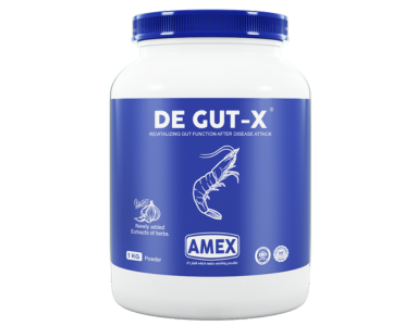 DEGUT-X