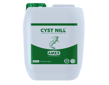 CYST NILL