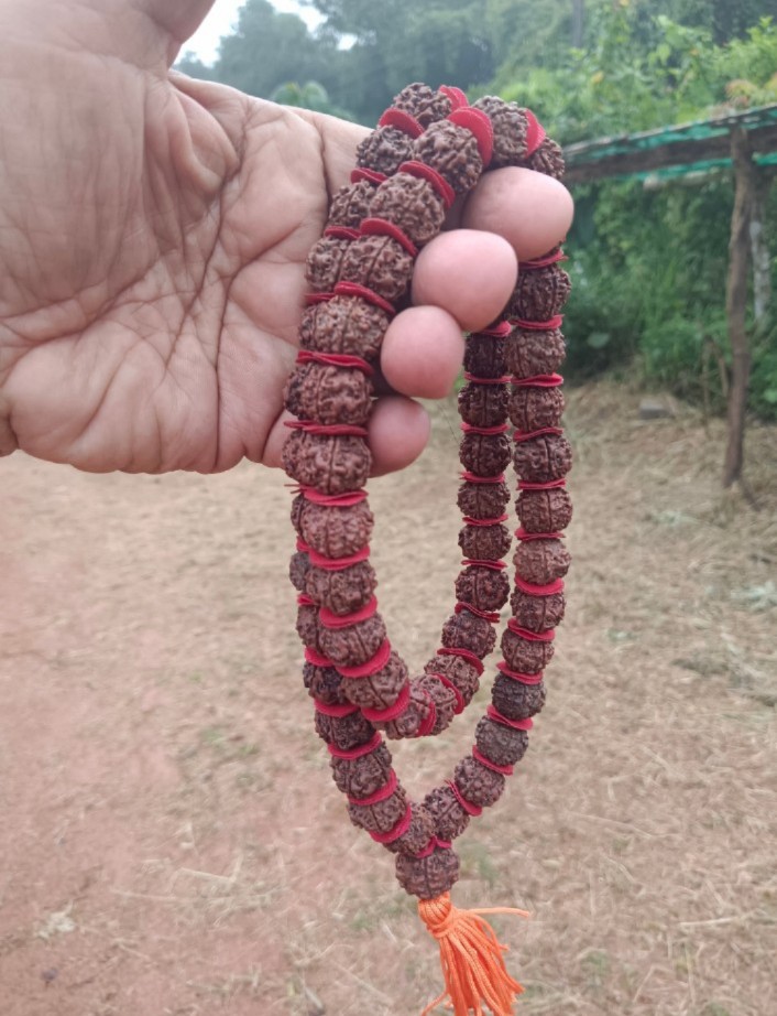 54+1 Rudraksha Japa Mala