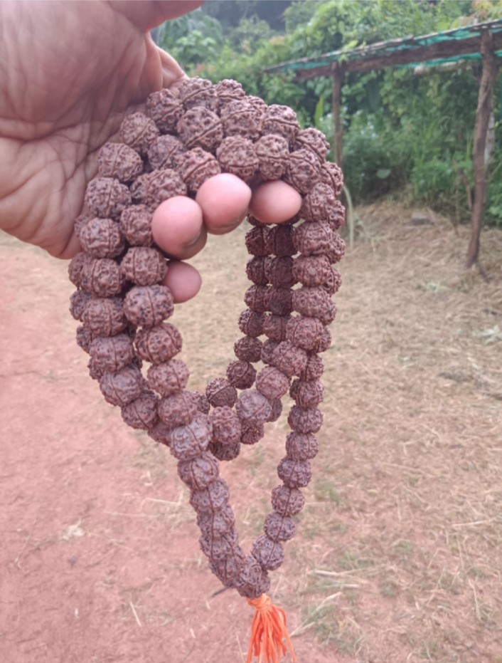 108+1 Rudraksha Japa Mala