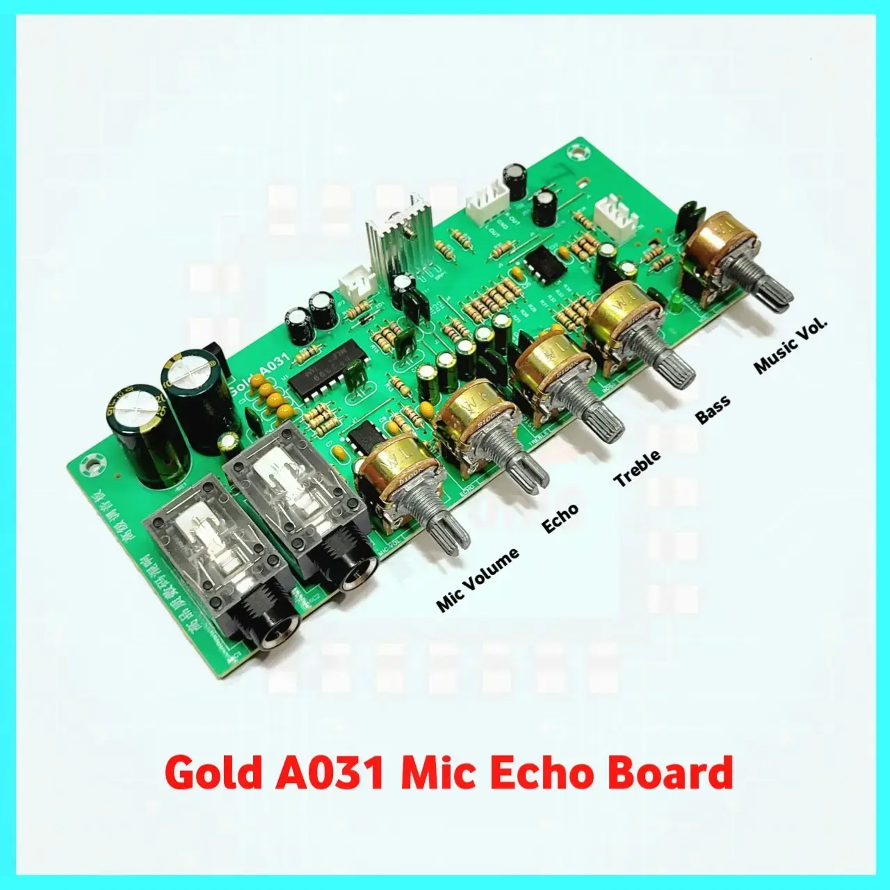 Gold A031 Dual Mic Echo With Bass Treble Controls Karaoke Board Dual Supply Operating