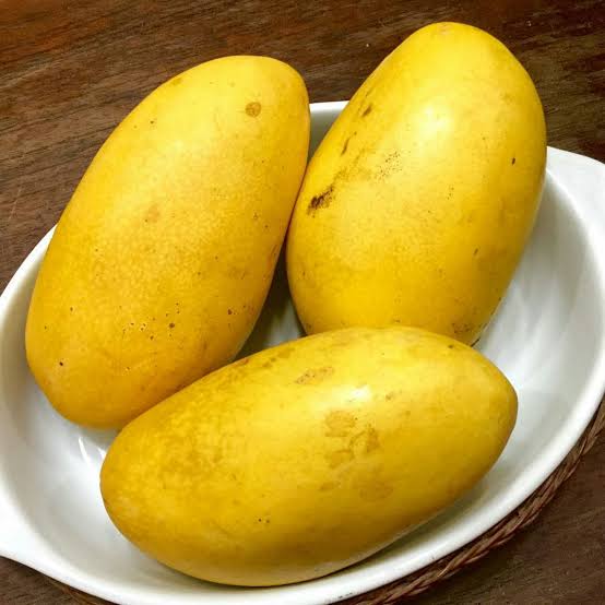 CARABAO MANGO PLANT(GRAFTED)