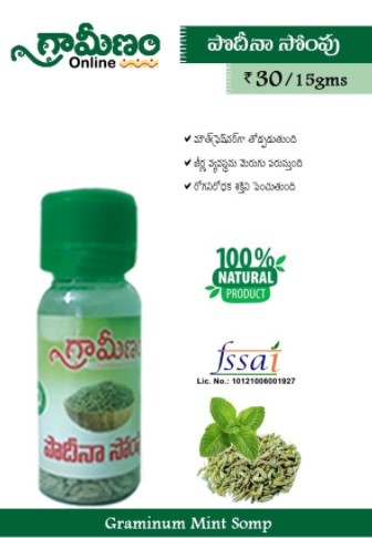 Pudina Soamp
