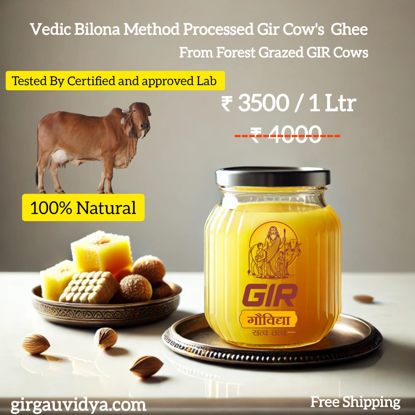 Vedic Gir Cows A2 Bilona Ghee from Forest Grazed  | Free Shipping | Boosts Health