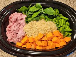 5 Healthy Homemade Dog Food Recipes for Your Pup