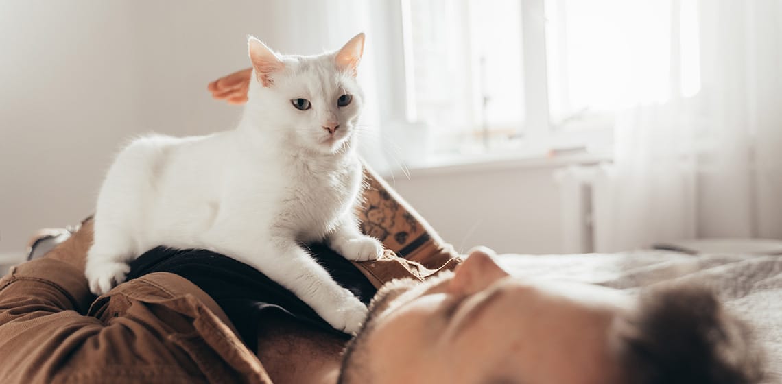 Understanding Cat Behavior: Why Do Cats Knead?