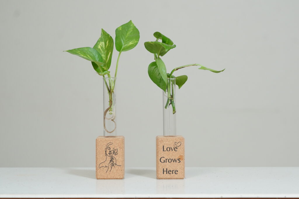 Eco Friendly Test Tube Plant Holder - 917