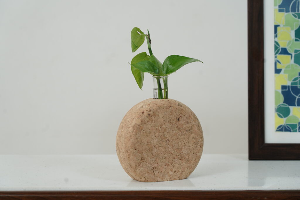 Eco Friendly Cork Plant Holder - 918