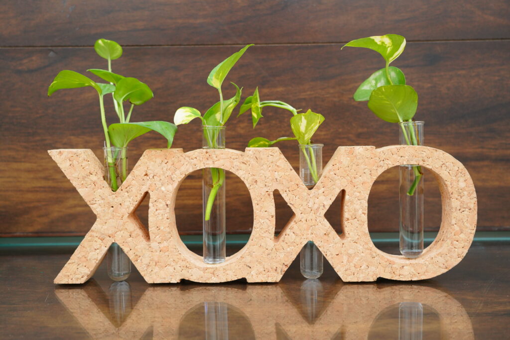 Eco Friendly Test Tube Plant Holder - 919
