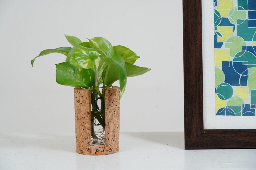 Customised Cork Plant Holder - 921