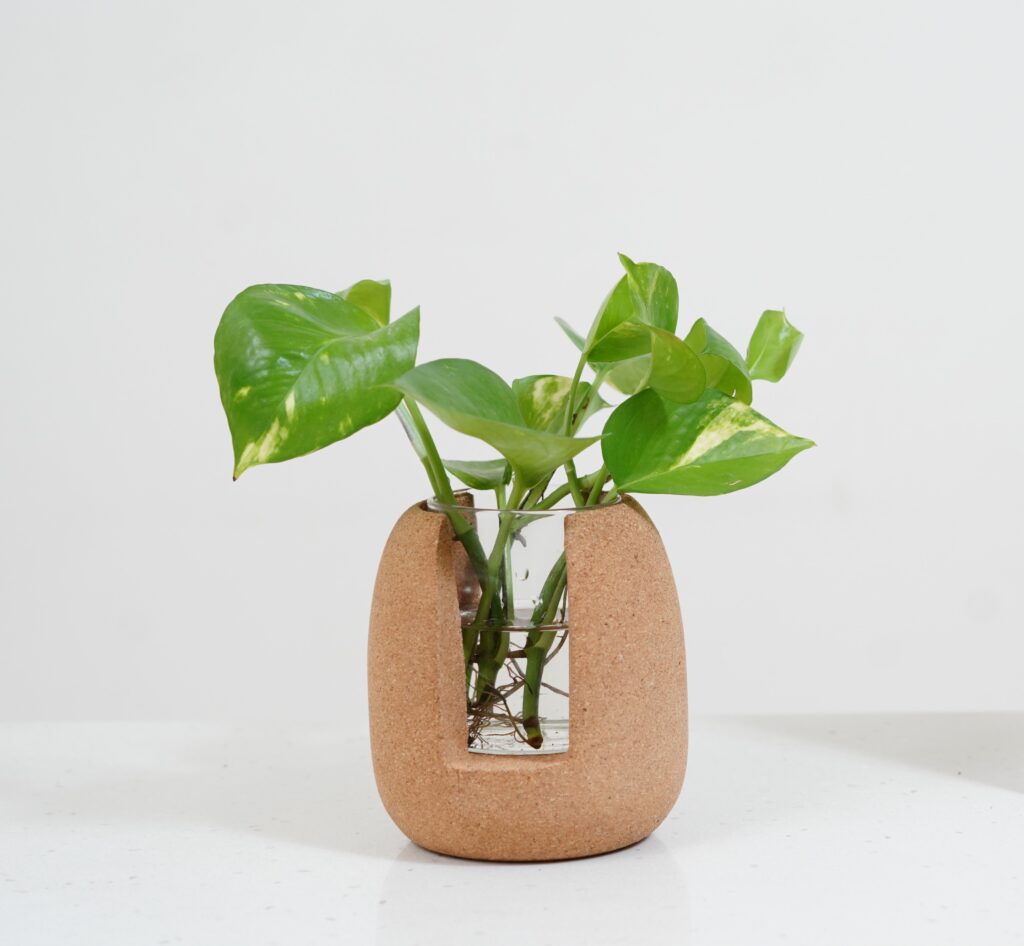 Logo Printed Cork Plant Holder - 922