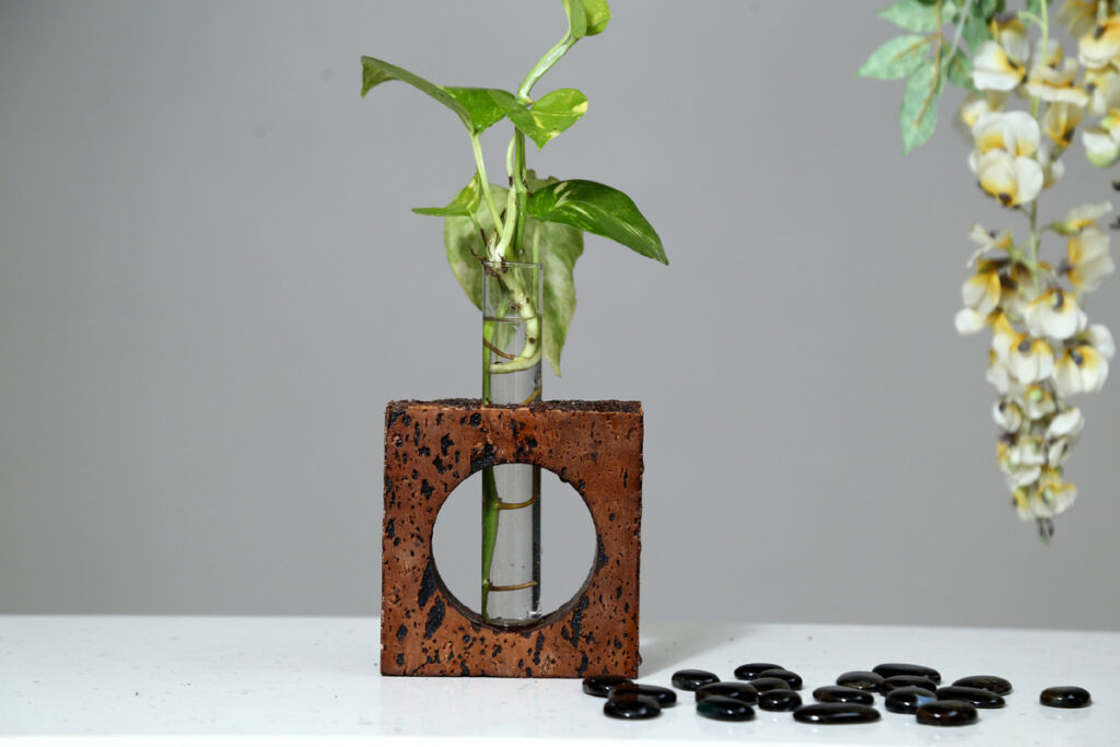 Eco Friendly Plant Holder - 923