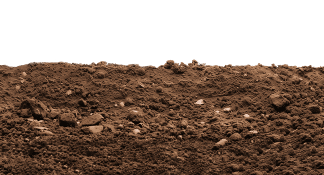 Soil