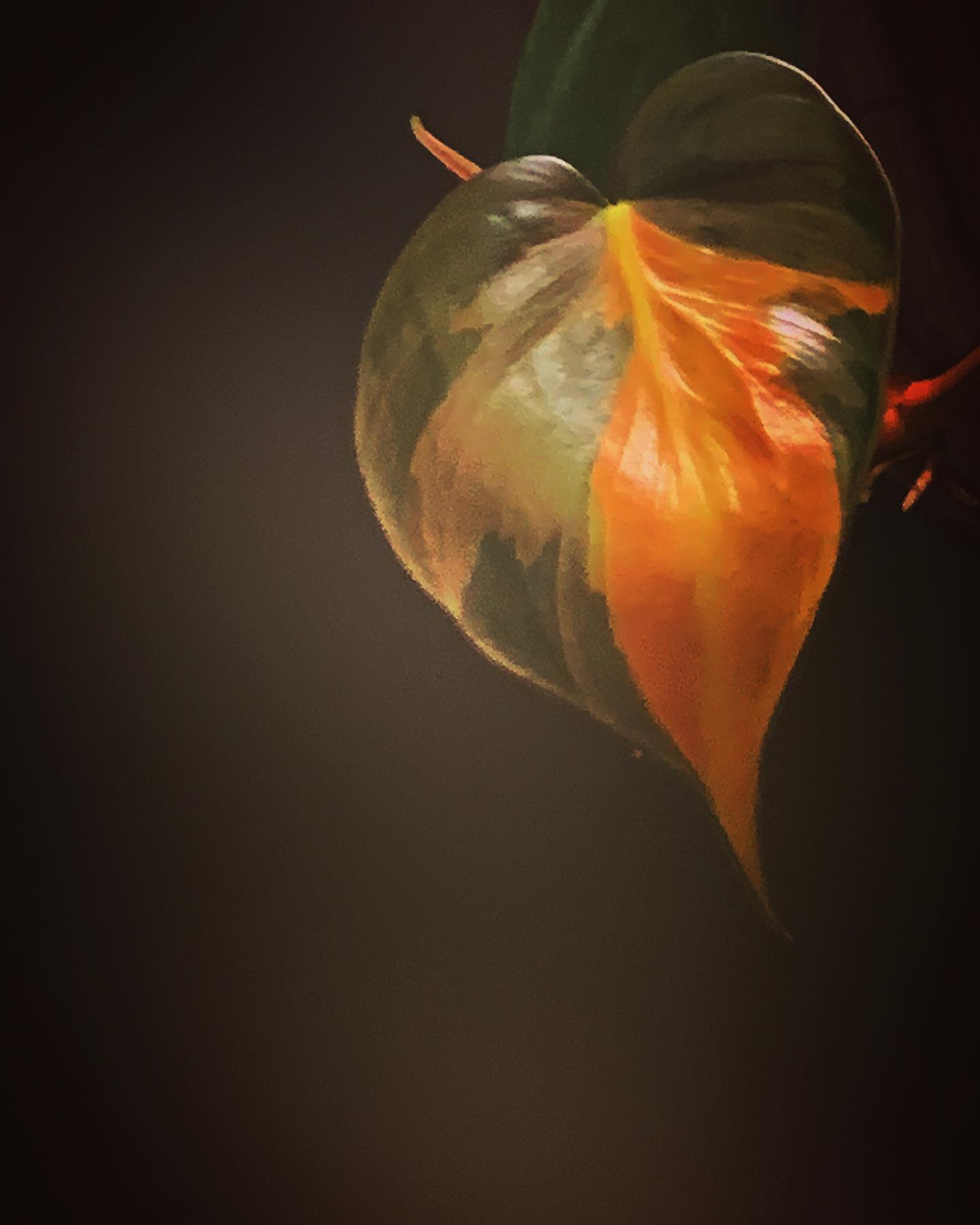 Emotions
