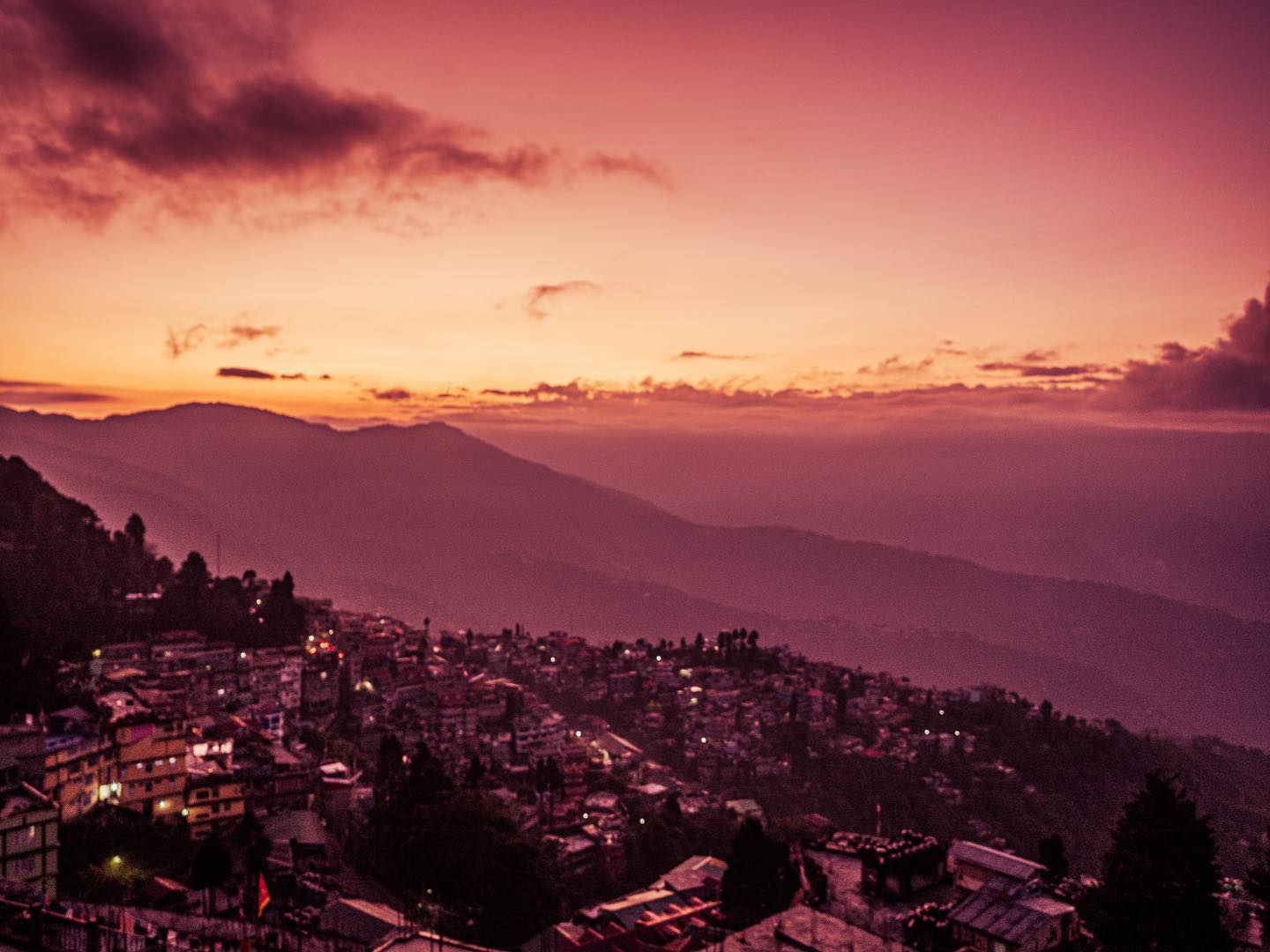 Why do we feel so much ?