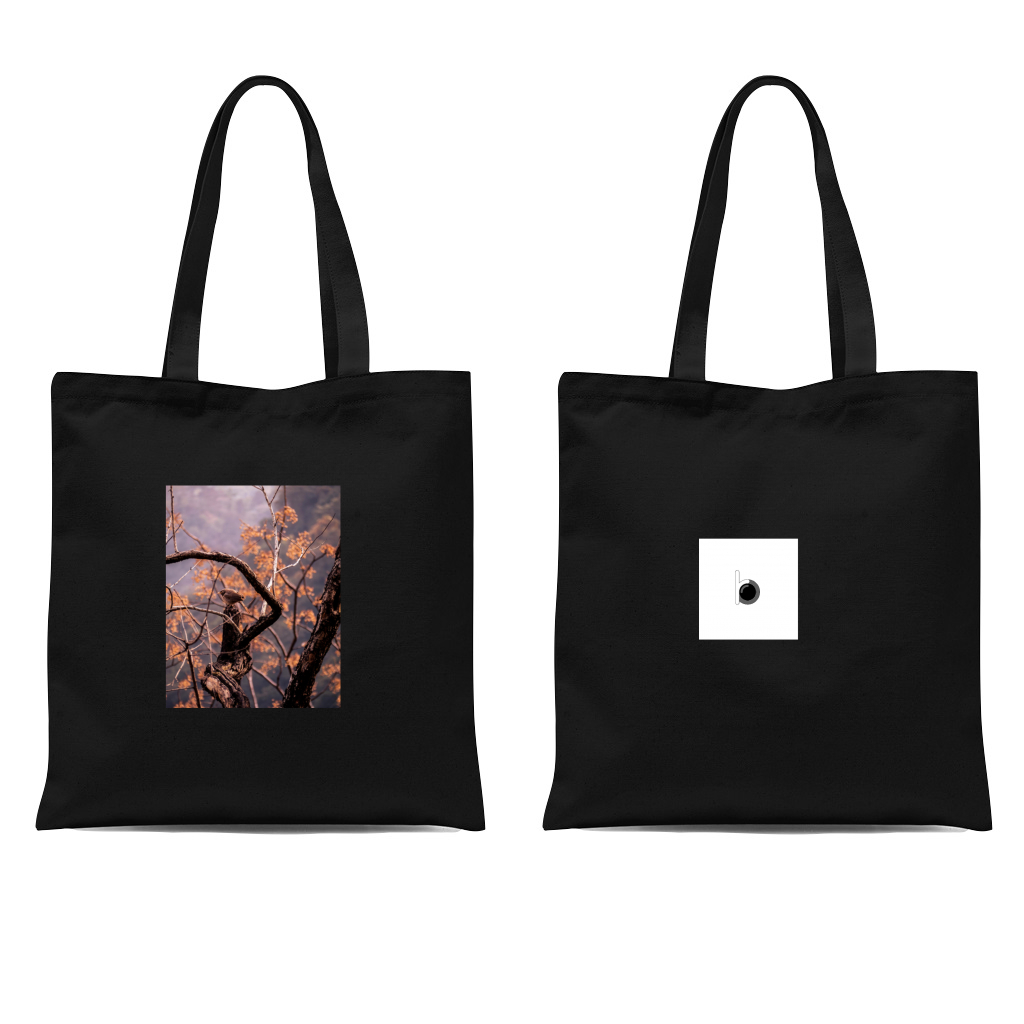 Chidiya udd Tote  2