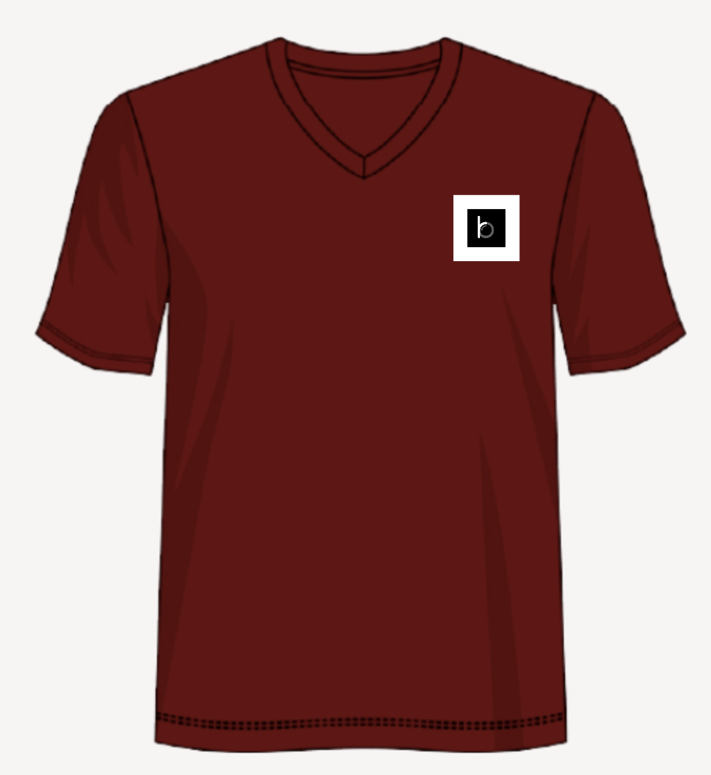 Plain and how v neck tee  3