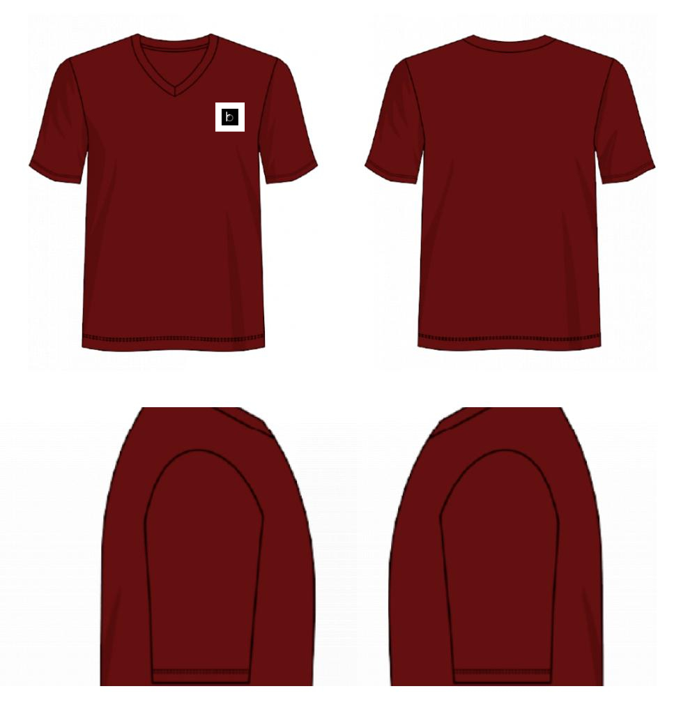 Plain and how v neck tee  10