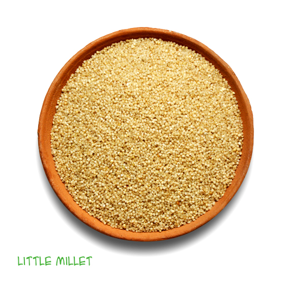 Little Millet