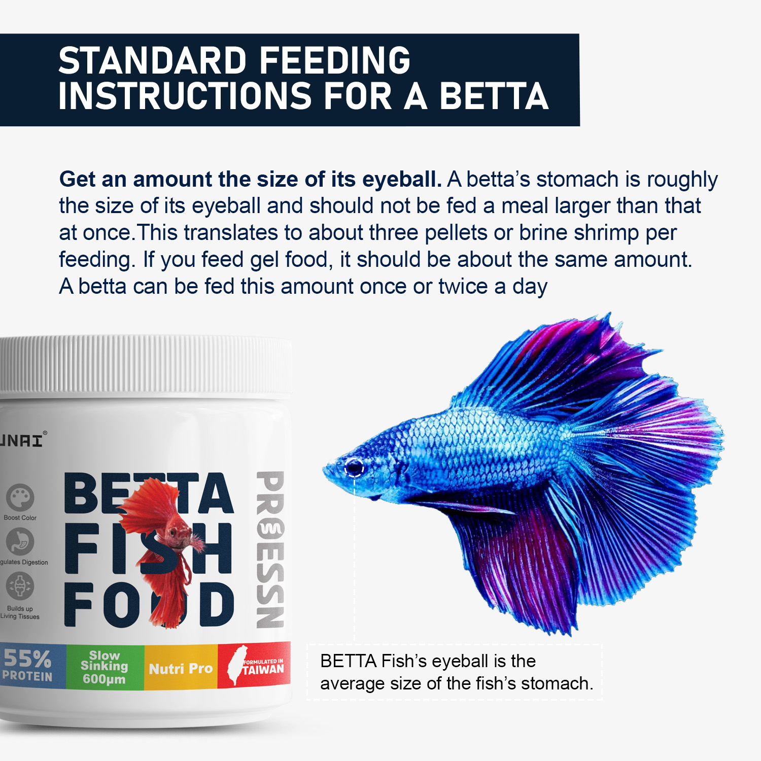 How Much Best Food To Feed Betta Fish Aquarium Fish Betta Fish