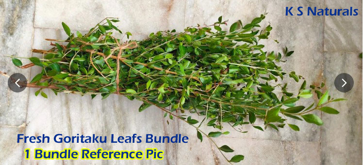 Fresh Gorintaku Leafs Online Hyderabad