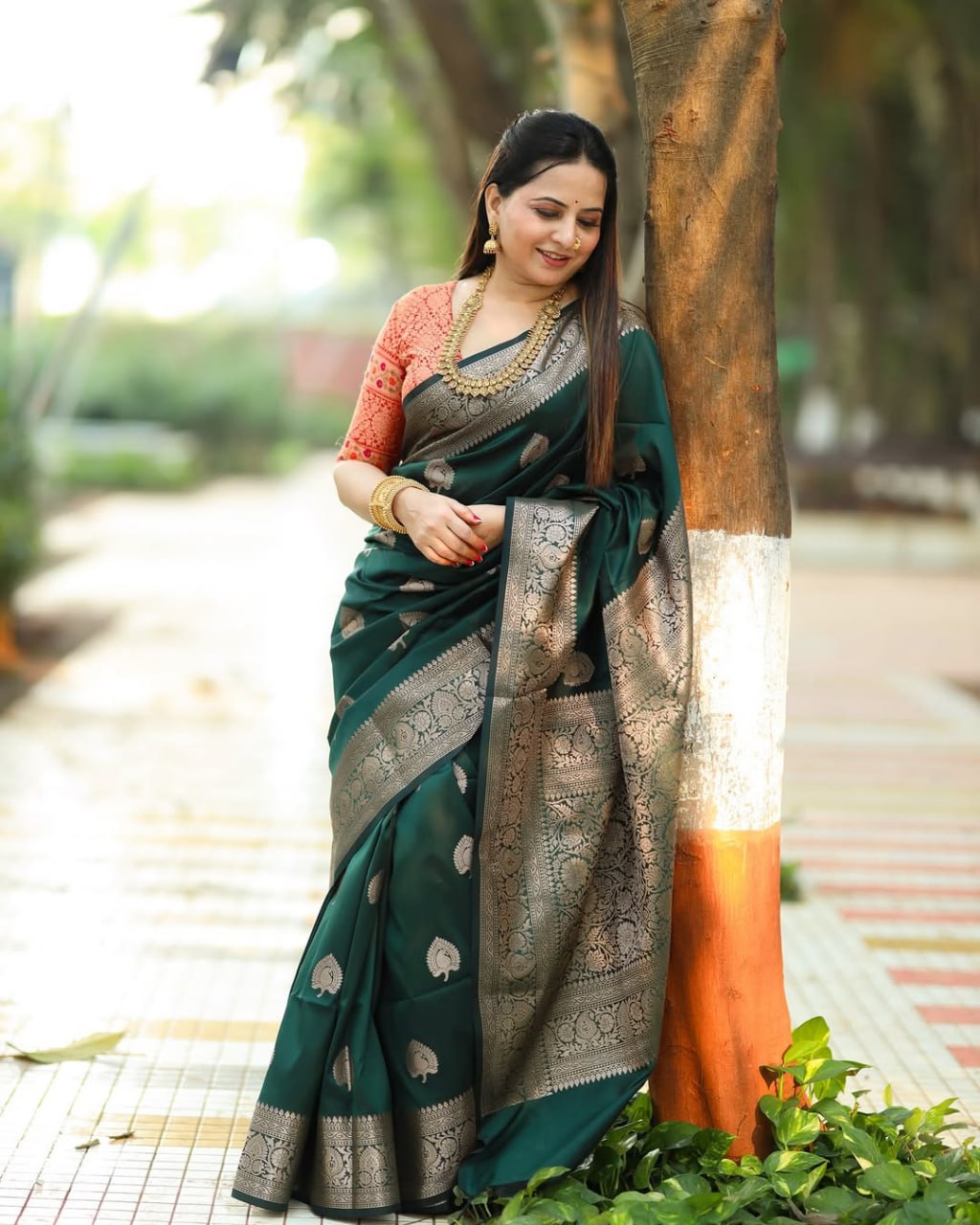 Banarasi Soft Silk Saree